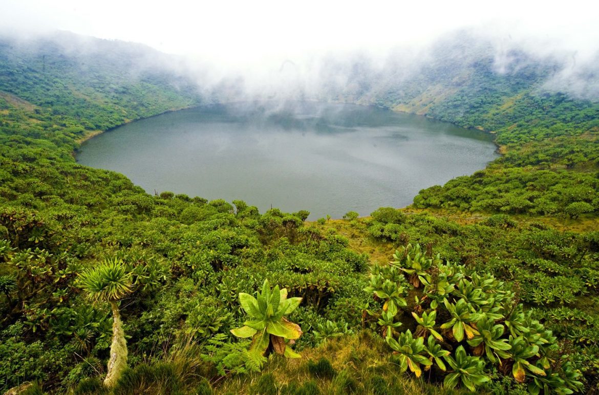 Rwanda – Volcanoes National Park