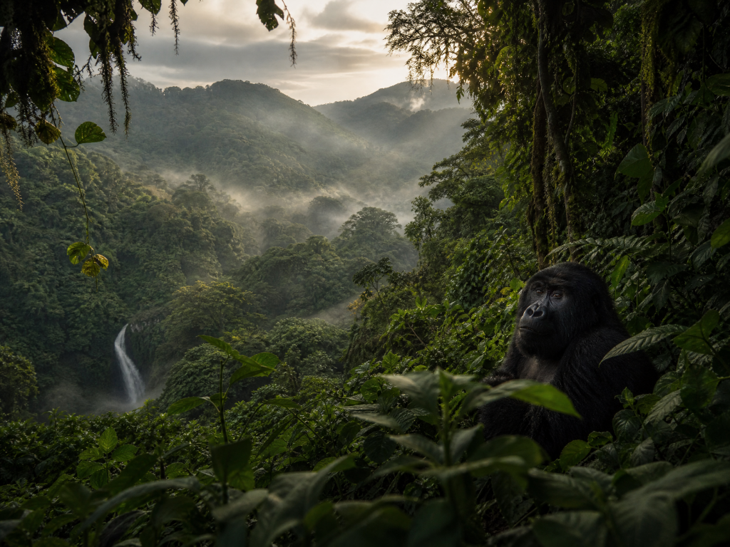 touristlads_uganda_destination_card